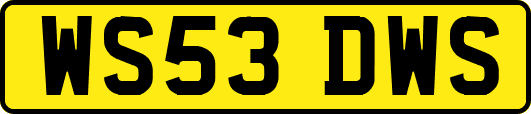 WS53DWS