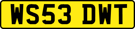 WS53DWT
