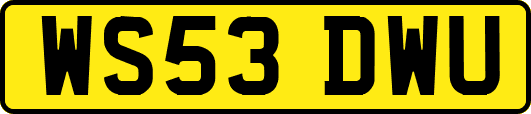 WS53DWU