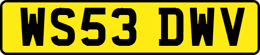 WS53DWV