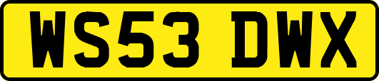WS53DWX