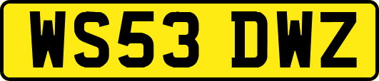 WS53DWZ