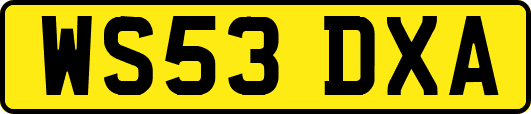 WS53DXA