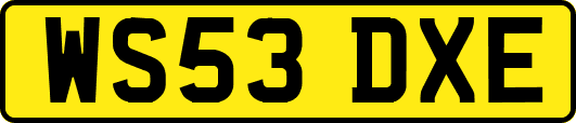 WS53DXE