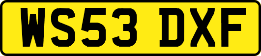 WS53DXF