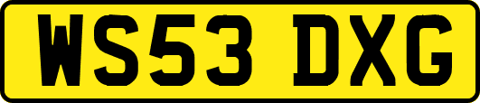 WS53DXG