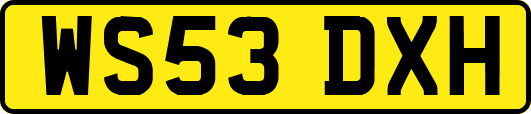 WS53DXH