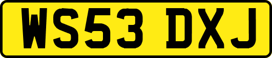 WS53DXJ