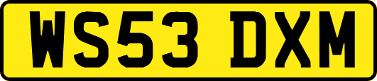 WS53DXM