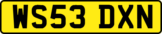 WS53DXN