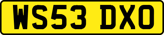 WS53DXO