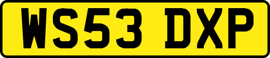 WS53DXP