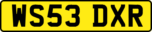 WS53DXR