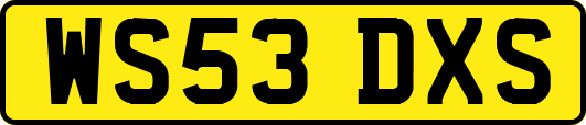 WS53DXS