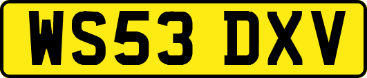 WS53DXV