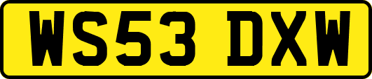 WS53DXW