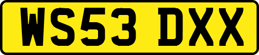 WS53DXX