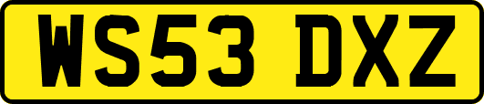 WS53DXZ