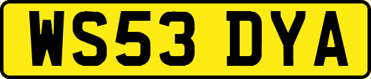 WS53DYA
