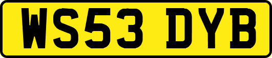 WS53DYB