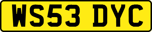 WS53DYC