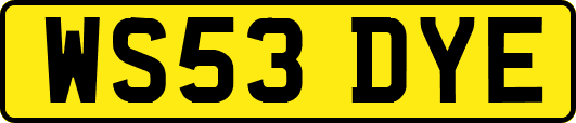 WS53DYE
