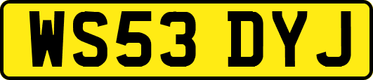 WS53DYJ