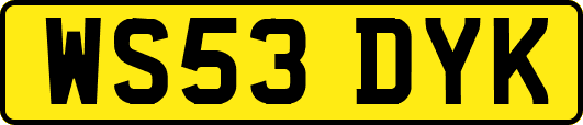 WS53DYK