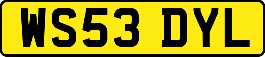 WS53DYL