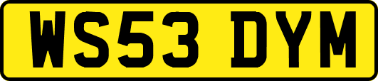 WS53DYM