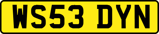 WS53DYN