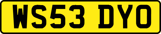 WS53DYO