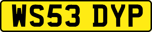 WS53DYP