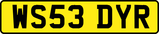 WS53DYR