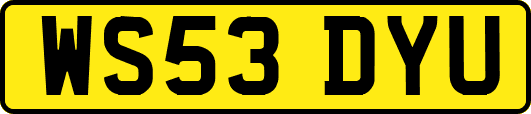 WS53DYU