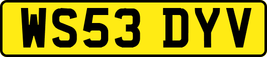 WS53DYV