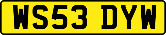WS53DYW