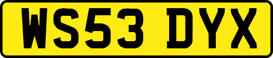 WS53DYX