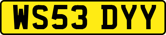 WS53DYY