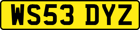 WS53DYZ