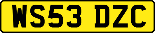 WS53DZC