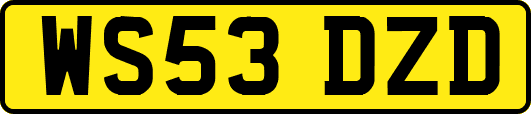 WS53DZD