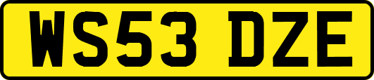WS53DZE
