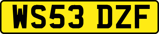 WS53DZF