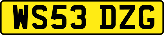 WS53DZG