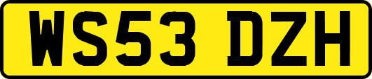 WS53DZH