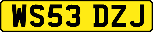WS53DZJ