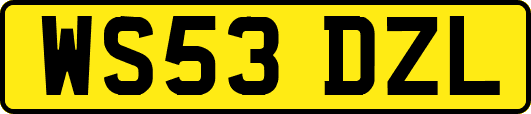 WS53DZL