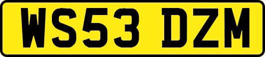 WS53DZM