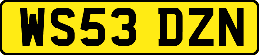 WS53DZN